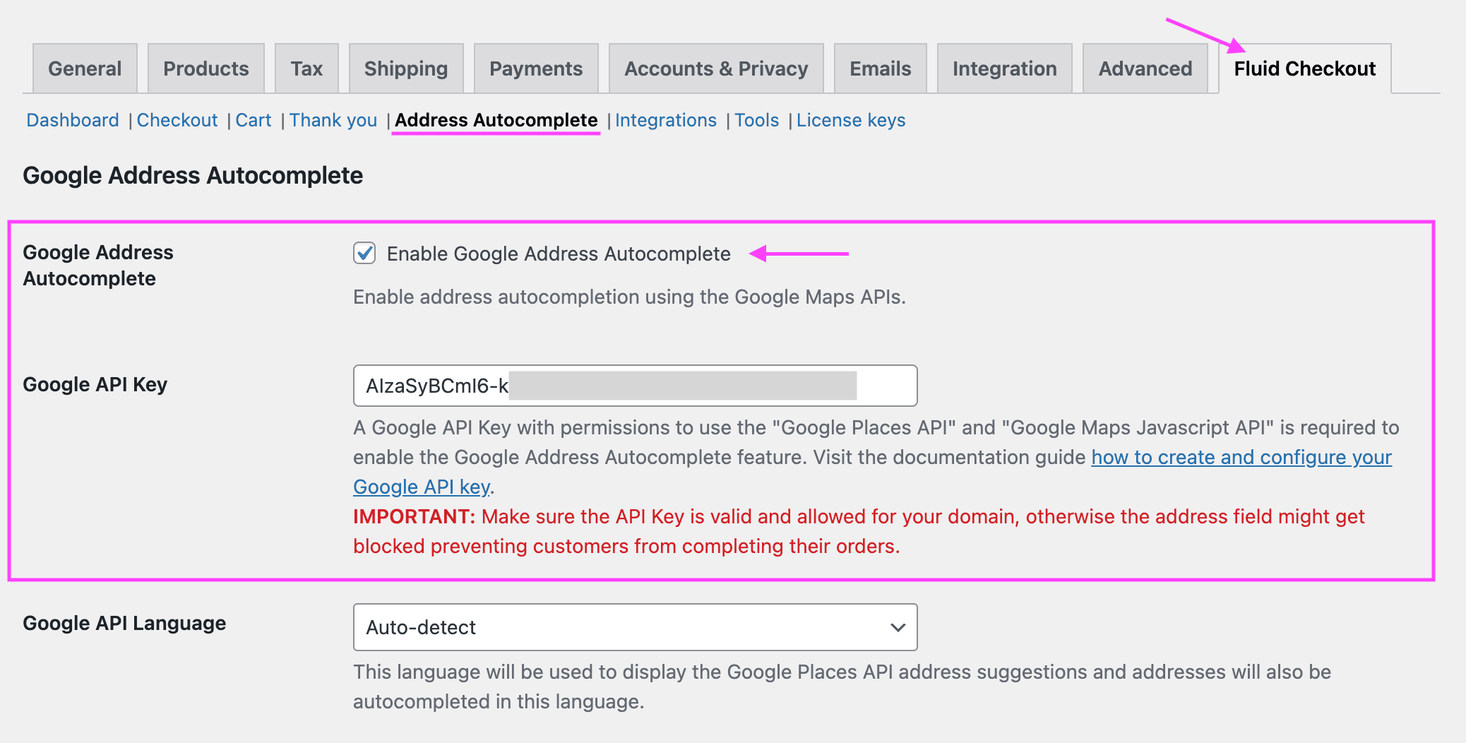 Screenshot of the plugin settings for the Google Address Autocomplete features.
