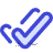 Double-check icon.